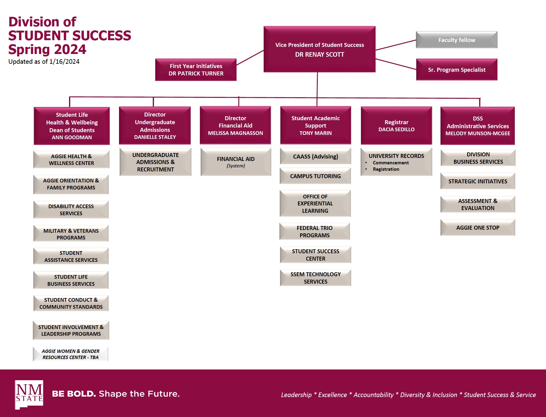 DSS org chart, effective January 2024 